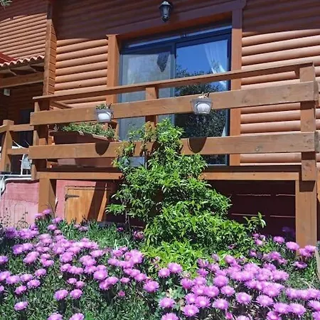 The Appartement