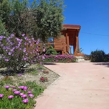 The Mesongí