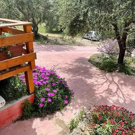 The * Mesongí