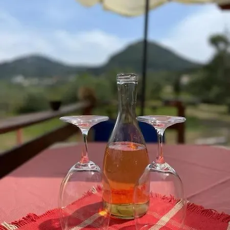 The * Mesongi